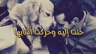 يمشي الفقير وكل شيء ضده #الإمام_الشافعي