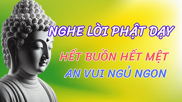 NGHE LỜI PHẬT DẠY HẾT BUỒN HẾT MỆT AN VUI NGỦ NGON- PHÁP THOẠI AN LẠC