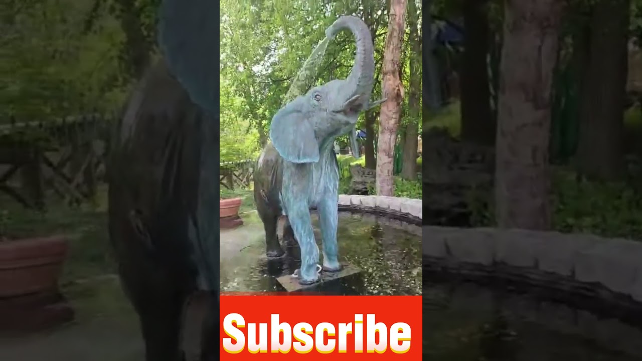 water fountain |  elephant  in the water fountain 