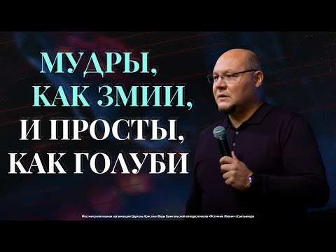 Мудры как змии и просты как голуби Павел Кудров