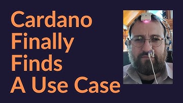 Cardano Finds A Use Case (Finally)