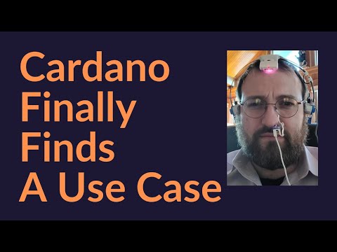 Cardano Finds A
