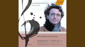 Sinfonia No. 8 in D Major, MWV N8 (version for orchestra) : II. Adagio