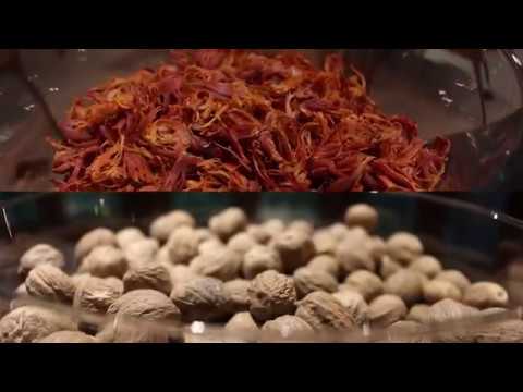 Nusa Indonesia Gastronomy: