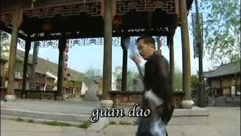 Kung Fu Killers 2006