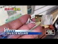 國一寶山段「網紅釘」散落滿地　多車慘中招鐵片刺穿輪胎