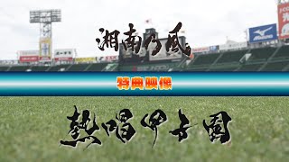 11/15(土)「湘南乃風 熱唱甲子園」特典映像