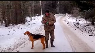 Гончие выгнали зайца на костёр . Гончие выгнали зайца на костёр .