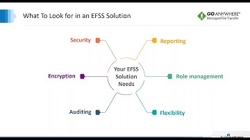 Safeguard Your File Sharing with a Secure Solution
