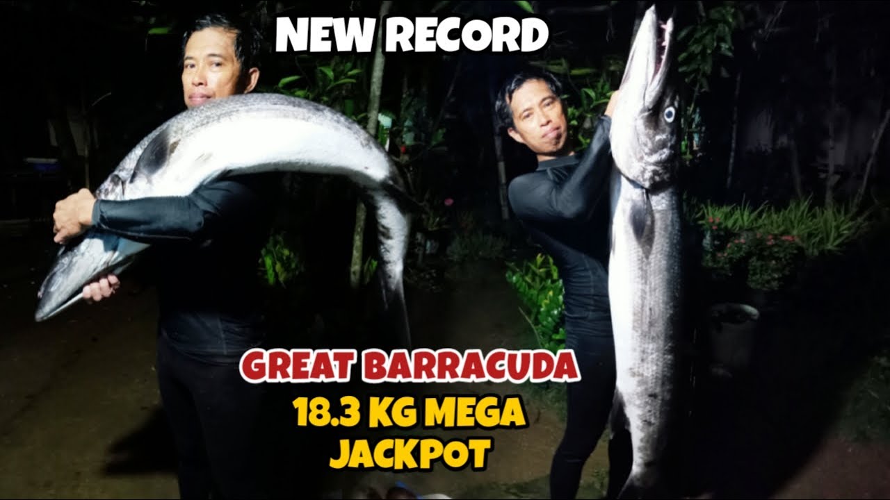 EP306 NEW RECORD SUBRANG LAKI KINATATAKOTAN NG MGA SPEARO #fish #fishing #blessed  #viralvideo 