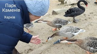 картинка: Парк Каменів (Парк Батьків) Харків Грудень 2025