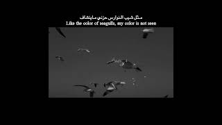 مثل شيب النوارس حزني ما ينشاف | عبارات حزينه وموسيقى Like the color of seagulls, my color is not