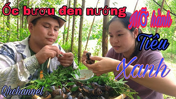 #14..Ốc bươu đen nướng mỡ hành tiêu xanh..qhchannel, QH,..