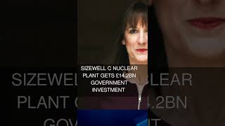 Sizewell C nuclear plant gets 14.2bn government investment
