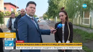 видео: Кучета нападнаха баба и внучето й, разкъсаха техния домашен любимец - Здравей, България (19.05.2023) картинка: Кучета нападнаха баба и внучето й, разкъсаха техния домашен любимец - Здравей, България (19.05.2023)