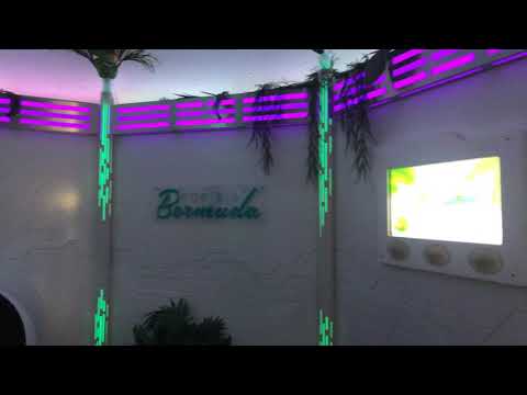 Portals Bermuda - 30 Seconds of Meow Wolf