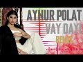 Aynur Polat Vay Dayı Remix Yol Yakınken Bu Sevdadan Cay Dayı
