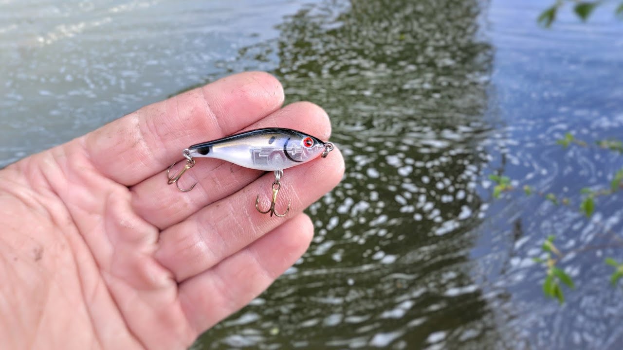 This $4 Lure is Fantastic! 