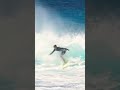 The most frustrating way to break your board 😡 #surfing #surf ￼