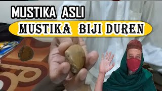 BATU MUSTIKA BIJI DURIAN MUSTIKA ASLI DURIAN