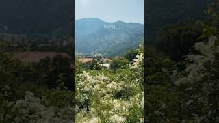 Risan, Montenegro #crnagora #montenegro #risan
