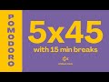 POMODORO 5x45 MIN TIMER WITHOUT MUSIC FOR STUDY AND FOCUS