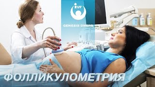 Что такое фолликулометрия. Овуляция. Сопровождение беременности в клинике Genesis Dnepr