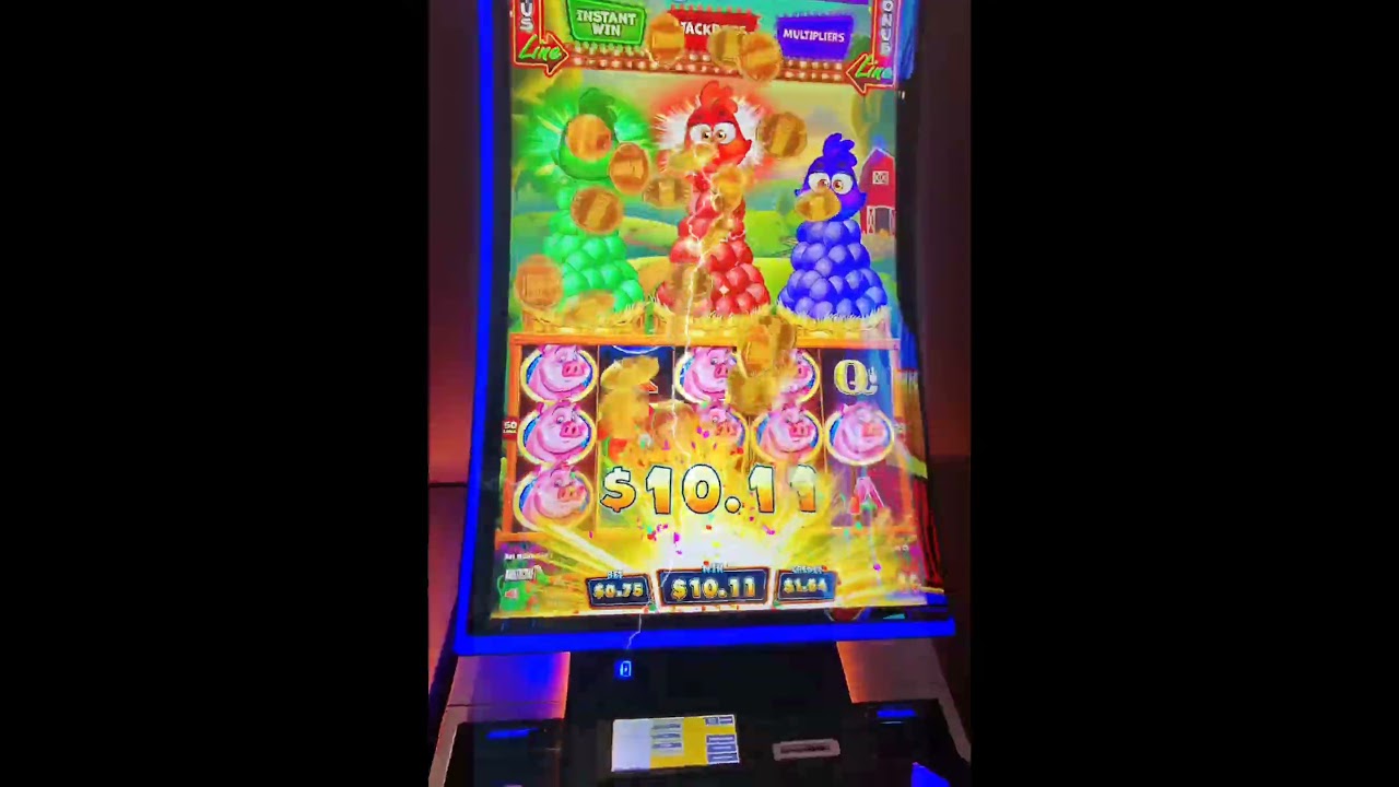 judi slot nova88 @CAVEMANLUIS777 casino winner jackpot slotmachine latinos