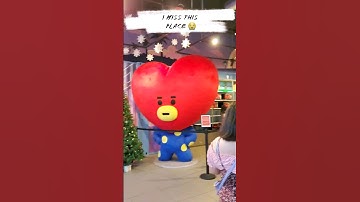 #linefriends #bts #bt21 #tata #chimmy #cooky #mang #shooky #rj #koya #van #kpop #collection #shorts