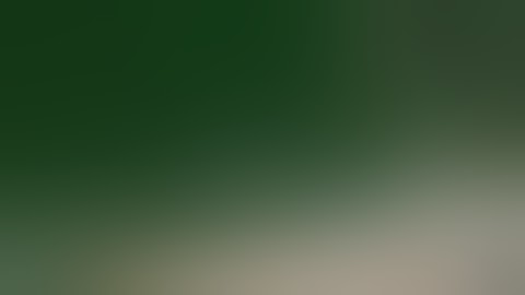 Common rail diesel fuel injector test bench eps208 refueling operation video