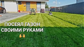 Выпуск№19.  Посеял газон - и вот что получилось 👌