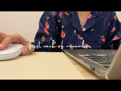 weekly vlog #4 (first week of november): sorting modules and unboxing a special parcel