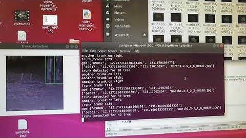 Tree Trunk detection and localization