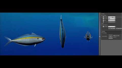 Fish Material Animation v1