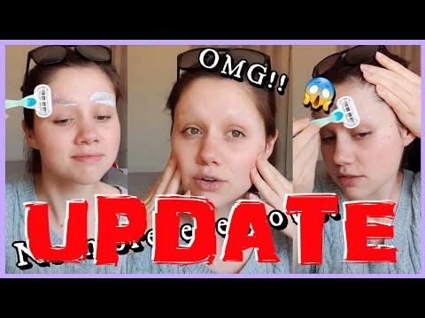 UPDATE!! I Shaved My Brows and THIS is What Happened || How Long Do Eyebrows Take to Grow Back?