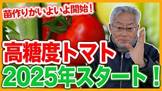 最終間近‼️きたーー‼️超SP超高糖度万田酵素栽培の甘平‼️6980円3 最終間近‼️きたーーー‼️超SP超高糖度万田酵素栽培の甘平‼️6980円4