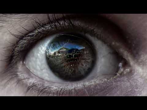 Clark - Dead Shark Eyes (Official Audio)