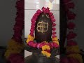 koi bhi #mandir Aisa nahin Hai Jahan #mahadev virajman Na Ho #shambhu #vlog #shorts