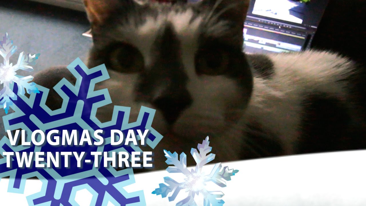 VLOGMAS DAY 23 ❄ CUTE CAT =^.^= SASSY CAT