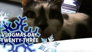 Cute Cat Videos | Home for the Holidays ❄ VLOGMAS DAY 23