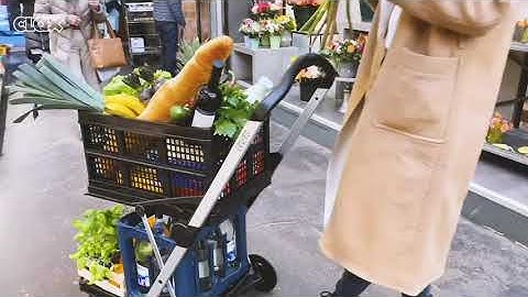 CLAX, Multi use Functional Collapsible carts | Mobile Folding Trolley | Shopping cart with Storage