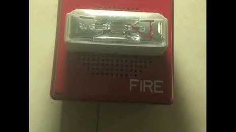 Wheelock Speaker Strobe Playing Music.