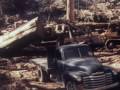 Capture de la vidéo If These Trees Could Talk "Malabar Front" (Ekf)