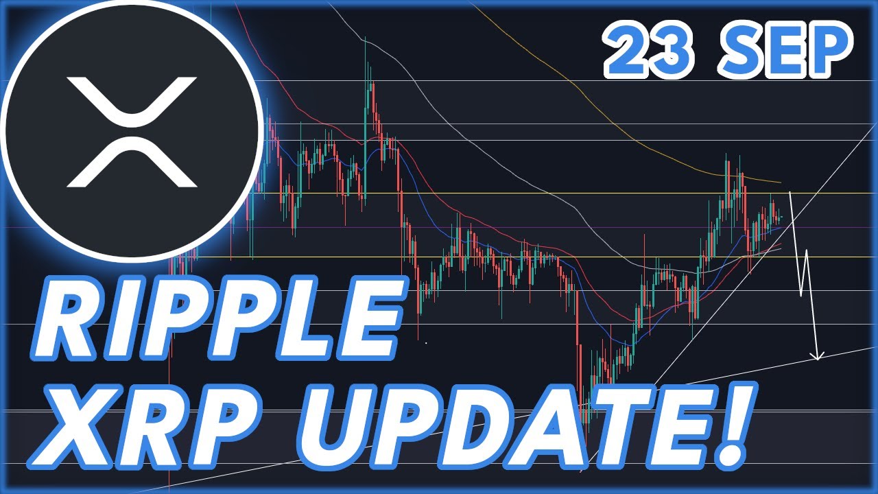 WILL XRP CRASH OR RALLY RIPPLE XRP PRICE PREDICTION NEWS 2023 will-xrp-crash-or-rally-ripple-xrp-price-prediction-news-2023