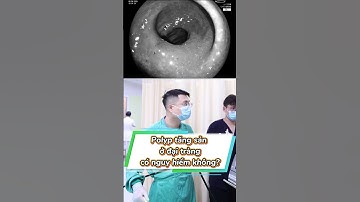Polyp tăng sản ở đại tràng có nguy hiểm không  #camnangsuckhoephuongdong #cdpd #bacsinguyentuandung