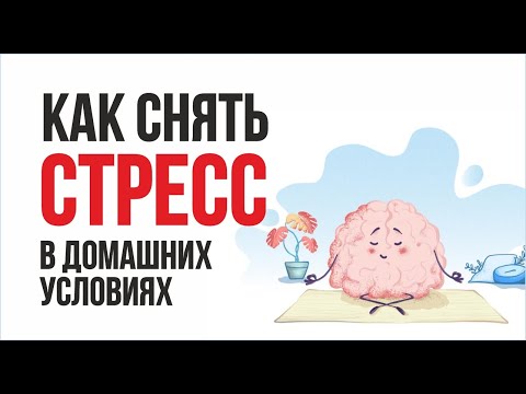 Как снять стресс в домашних условиях! | Евгений Гришечкин