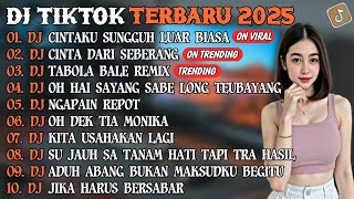DJ TIKTOK TERBARU 2025 | DJ CINTAKU SUNGGUH LUAR BIASA🎵DJ CINTA DARI SEBERANG🎵| FULL ALBUM