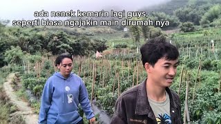 Panen Timun bareng Tetangga di Ladang