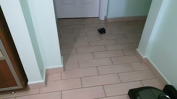 new robot with patrol feature and Alexa integration - Moorebot Scout