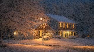Howling Wind &amp; Blowing Snow┇Freezing Snow Storm &amp; Wind Sounds for Sleeping
